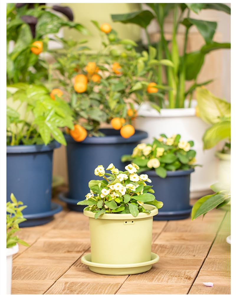 Amazon.co.jp: 植木鉢 5-10号鉢 プラスチック鉢 根はり鉢 受け皿